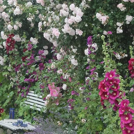 Ferienhaus Bauernhaus Farmház Pommerby