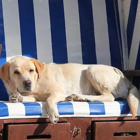 Ferienhaus Bauernhaus Farmház